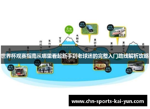 世界杯观赛指南从哪里看起新手到老球迷的完整入门路线解析攻略