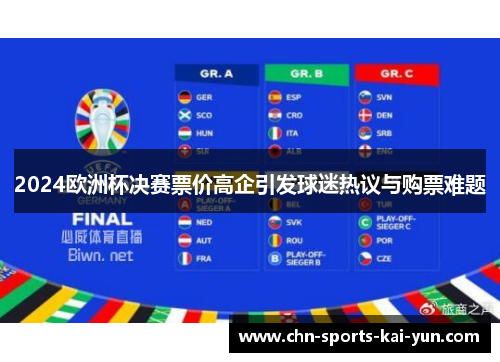 2024欧洲杯决赛票价高企引发球迷热议与购票难题